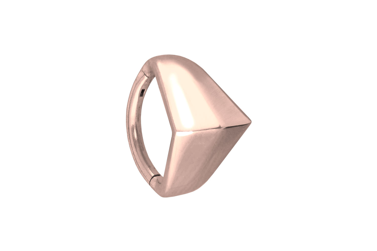 Chirurgenstahl Segmentring Clicker Piercing SCHILD